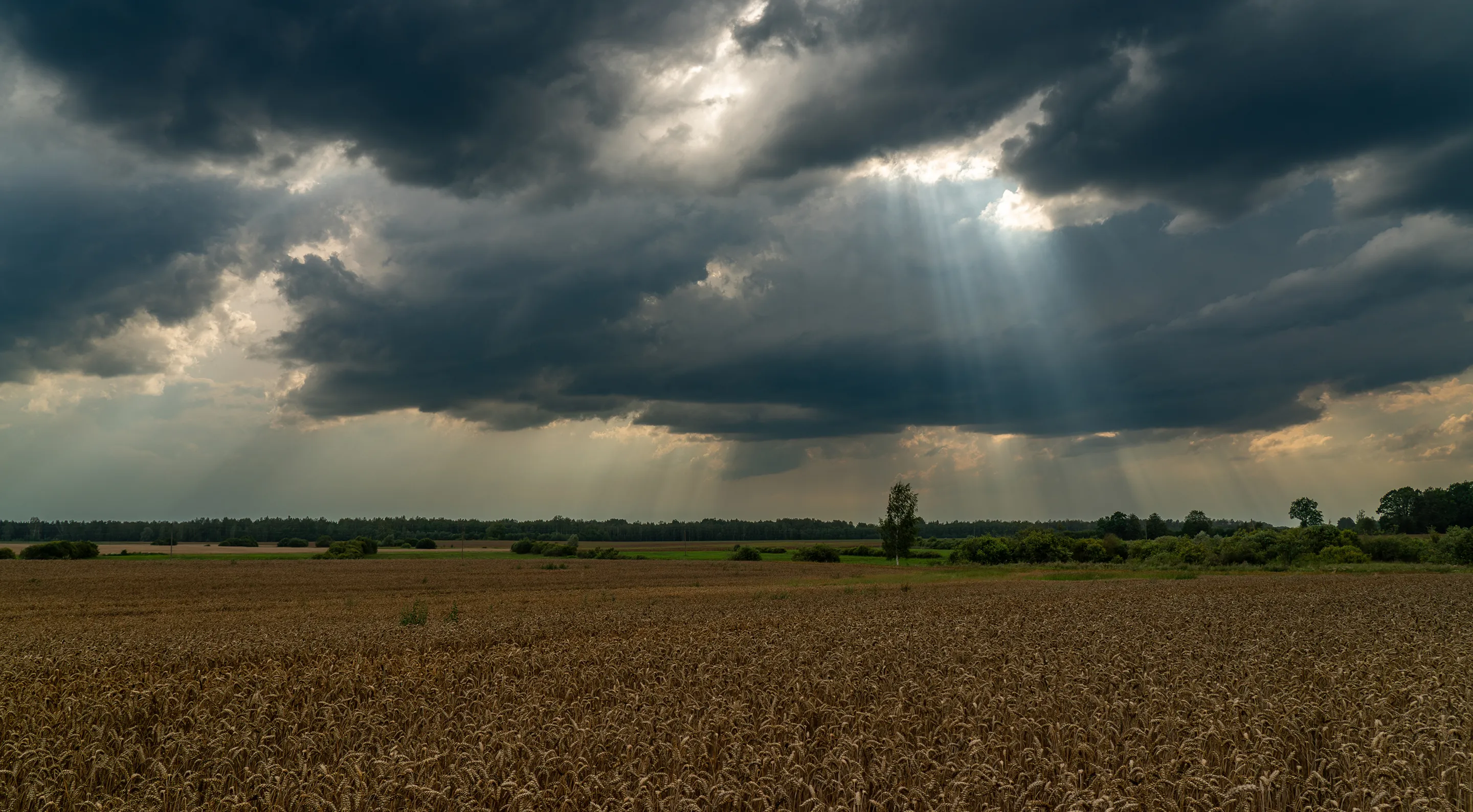 Kalevipoja munad taust